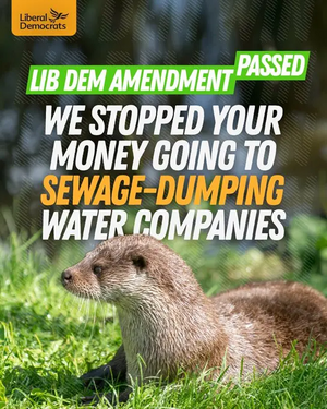 Stop sewage dumping: Lib Dem success